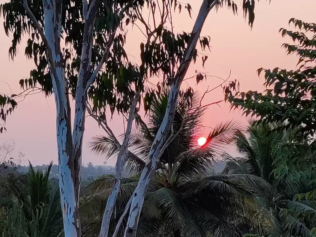 Photo of Sunset at Thivim