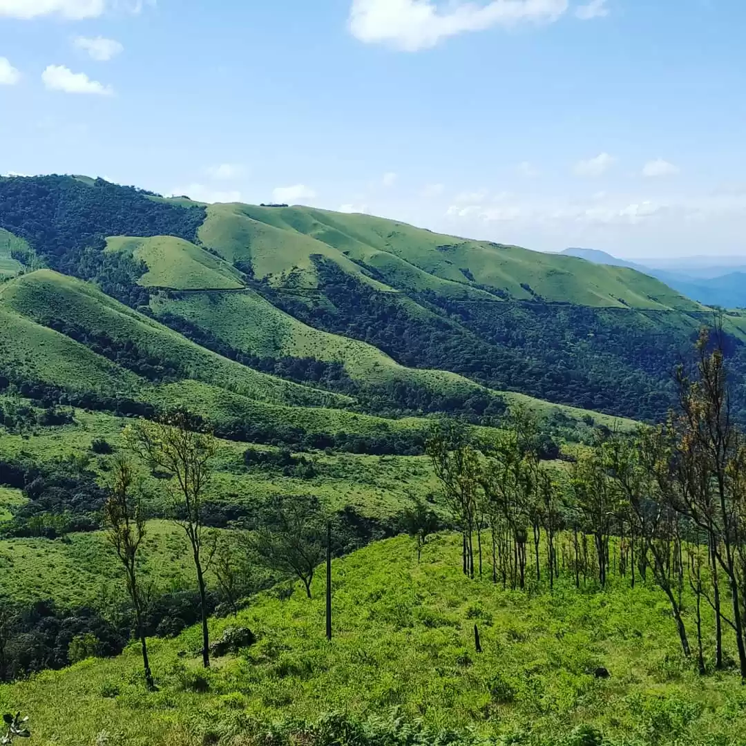 Photo of Pillion Ride to Chik