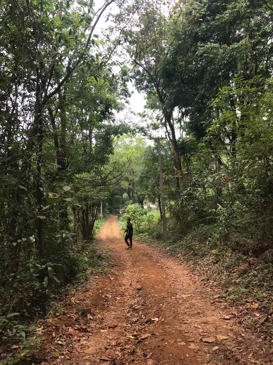 Paithalmala- A Little Heaven(Kerala) - Tripoto