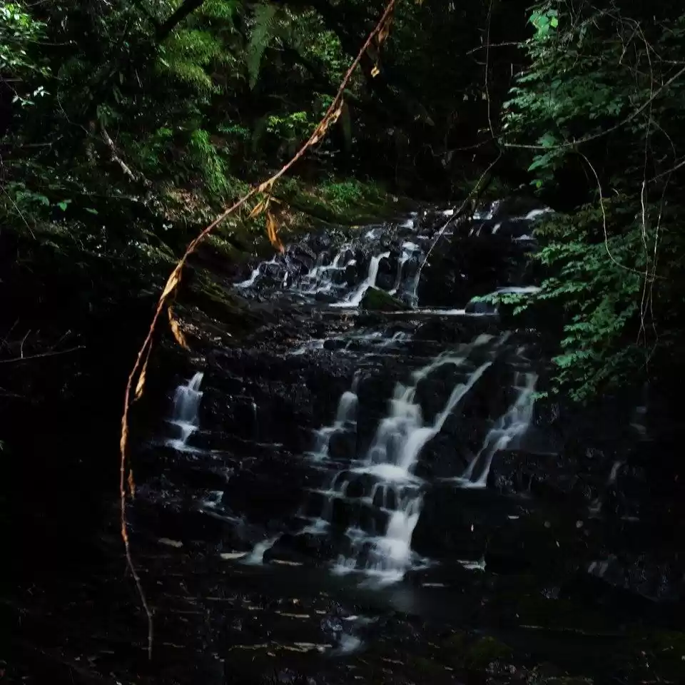 Photo of Unwinding in Shillon