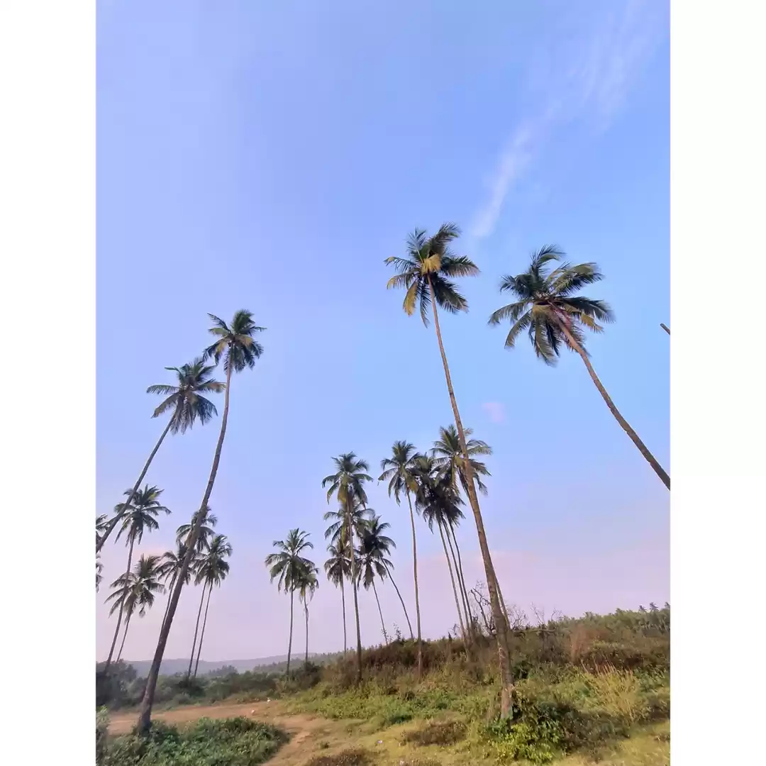 Photo of Sunset at uddo beach