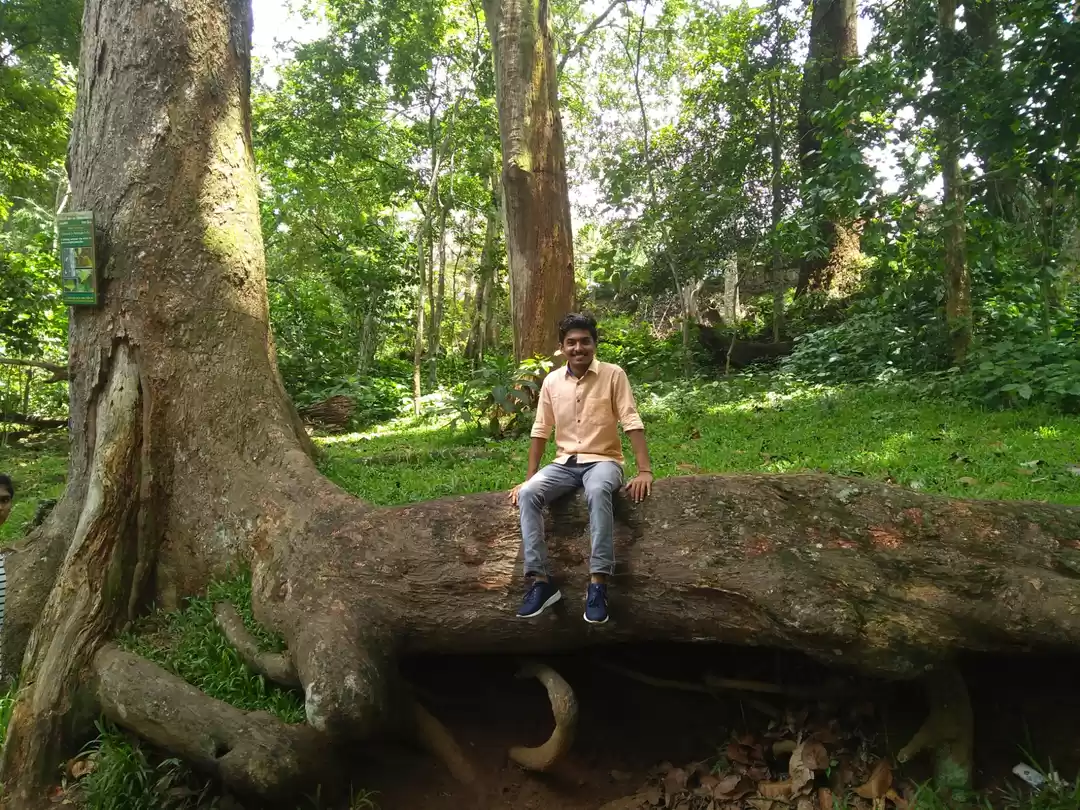 Photo of periyar national par