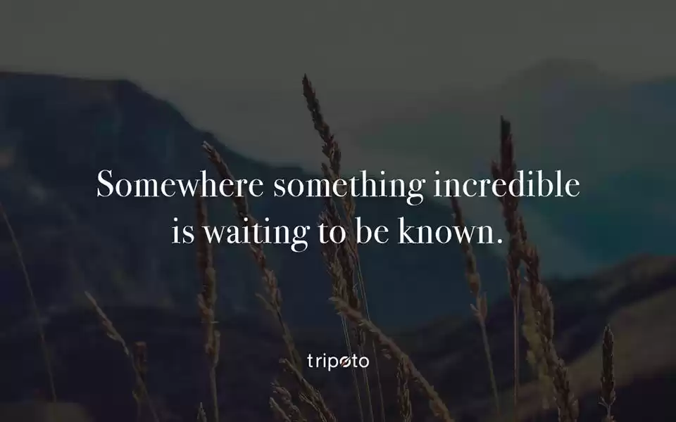 Photo of Making the world a b