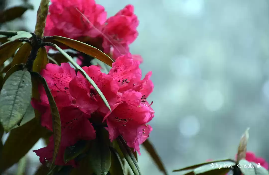 Photo of This One-day Trek Th