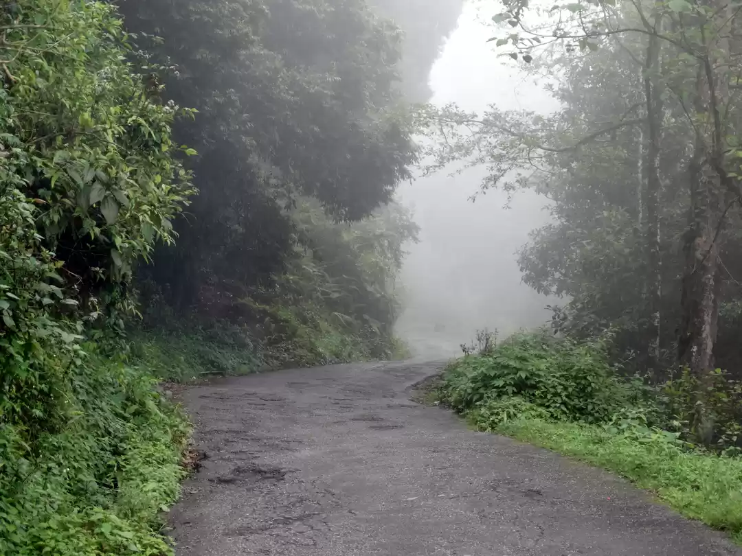 Photo of I've Uncovered A DIY