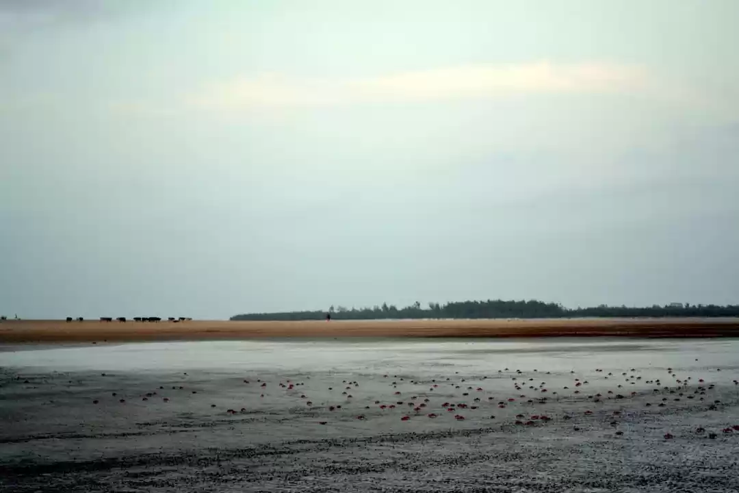 Photo of Four Hours From Kolk