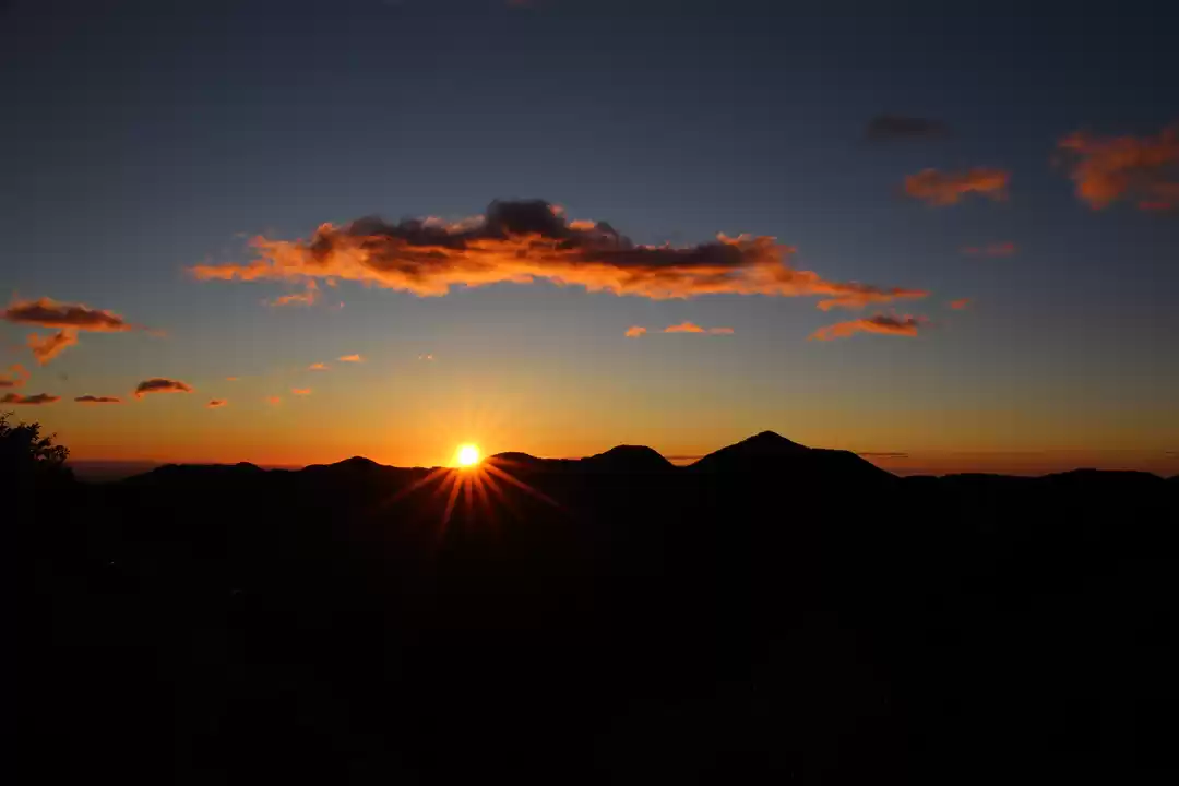 Photo of Set In Orange Orchar