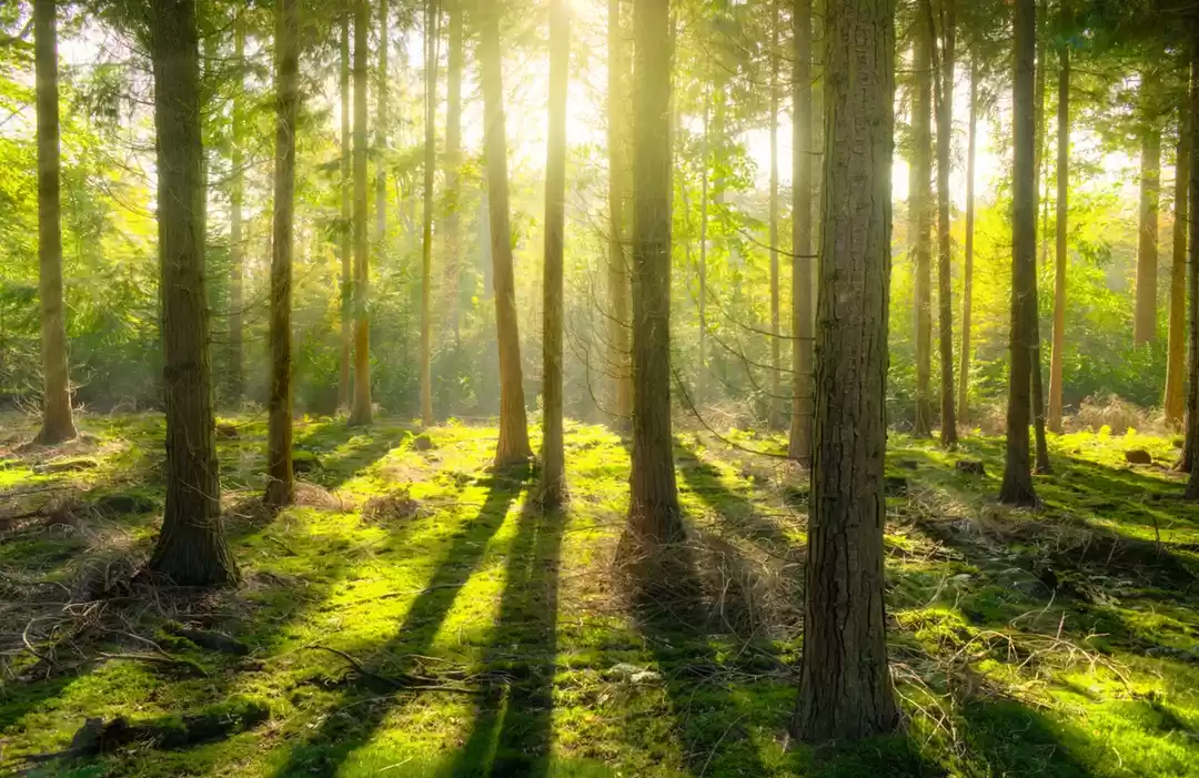 Photo of This serene destinat