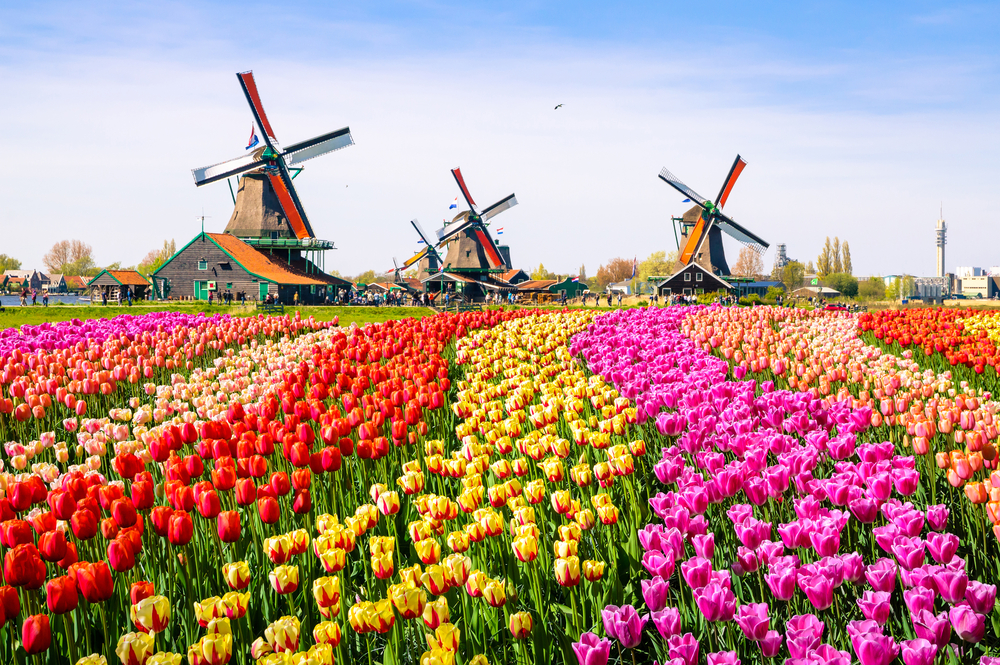 Photo of Explore Netherlands 