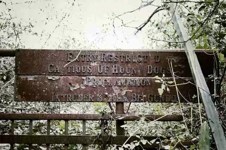 Photo of 7 Insanely Haunted P