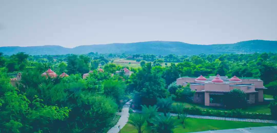 Photo of Tree of Life Jaipur 