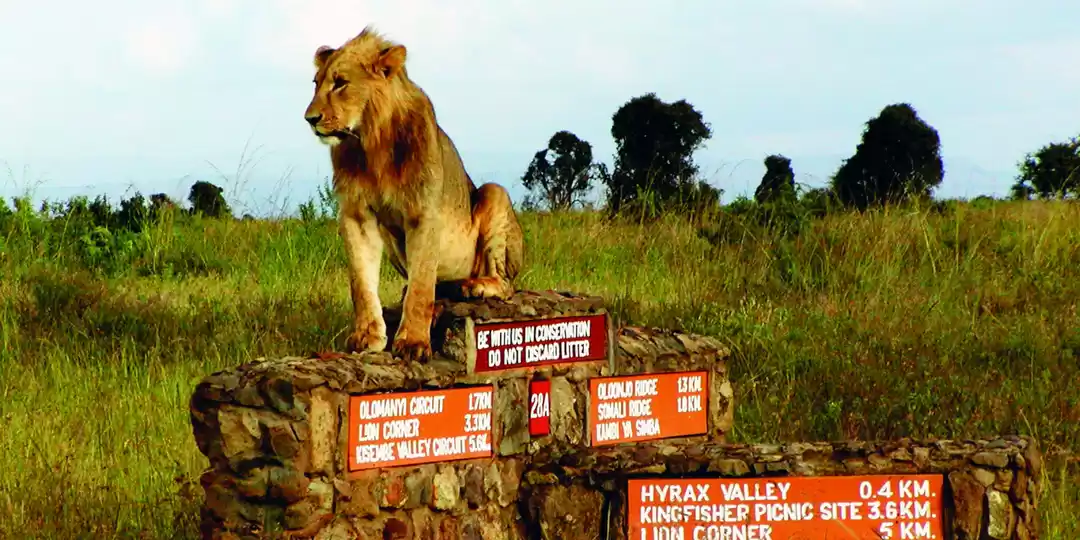 Photo of Kenya Tourism Promis