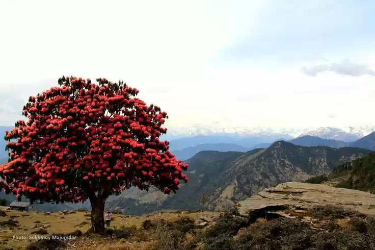 Photo of 9 Places In India Yo