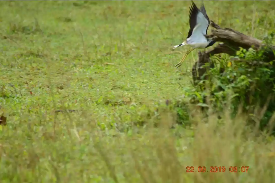 Photo of Amazing Trip