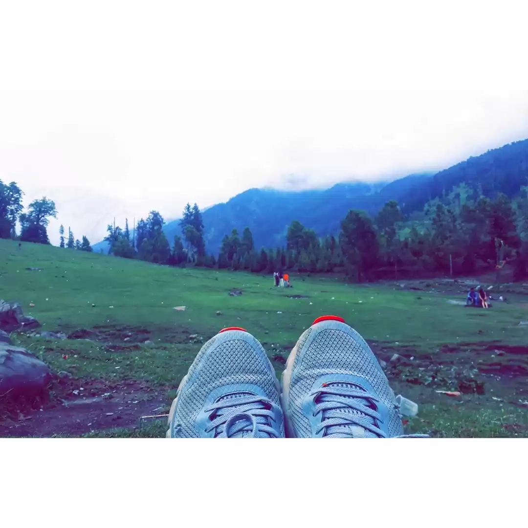 Photo of monika Garg
