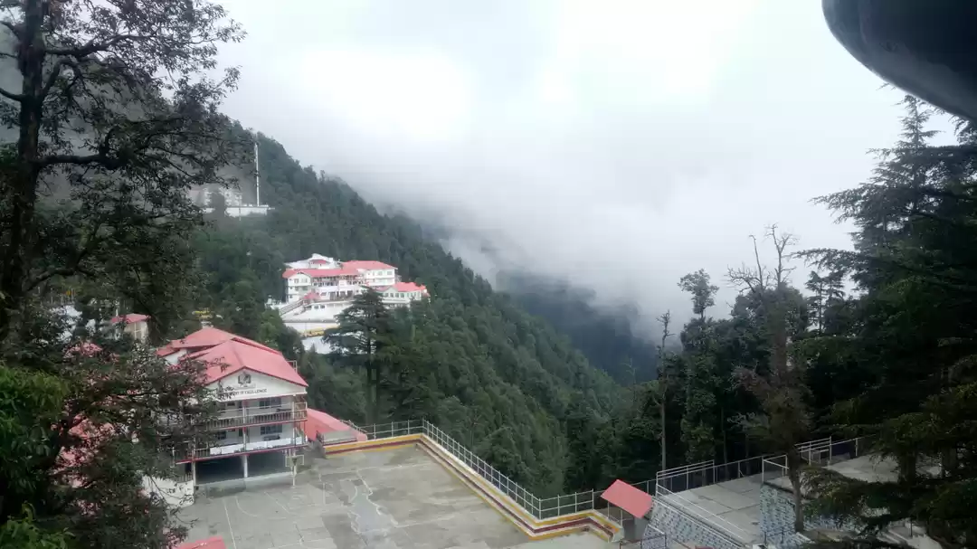 Photo of Manjeet Goraya