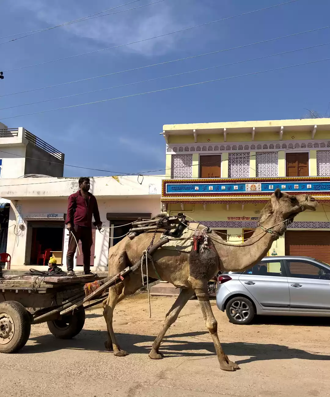 Photo of From the Land of the