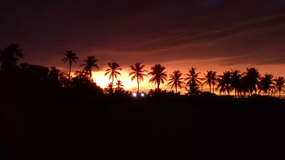 Photo of Evening scenes of EC
