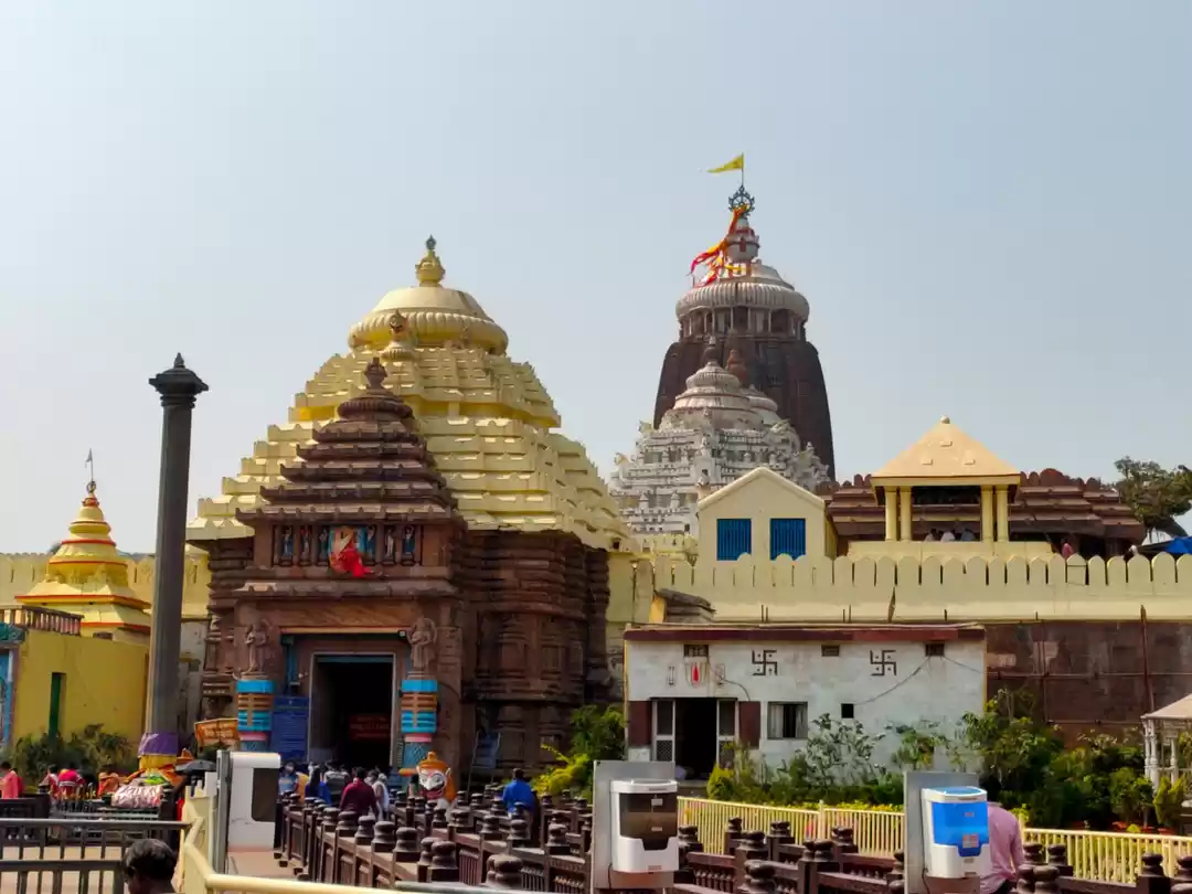 Photo of Amazing Trip