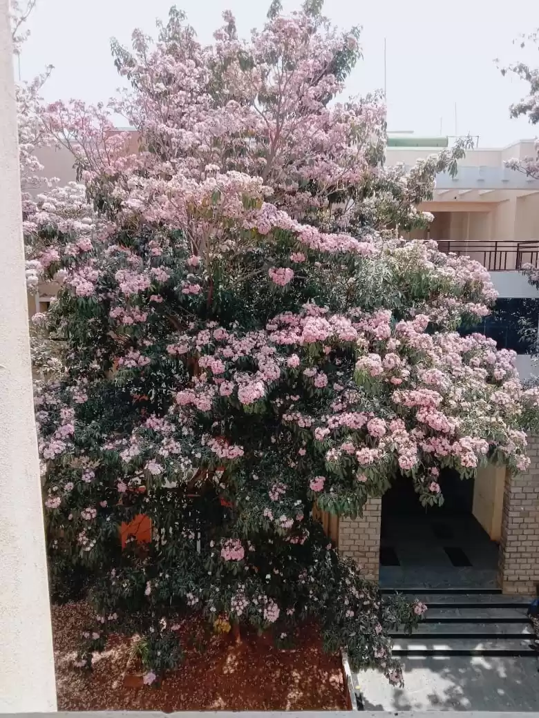 Photo of Banglore, kanakapura