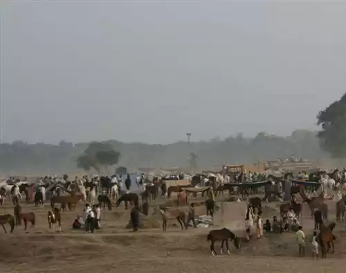 Photo of Incredible Madhya Pr