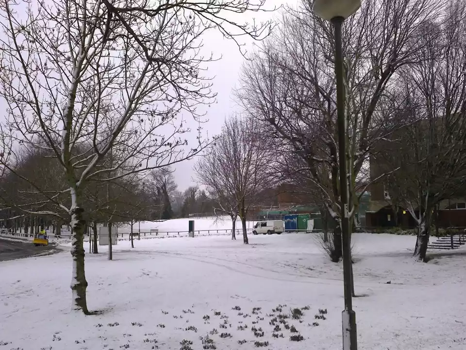 Photo of What To Do When It's