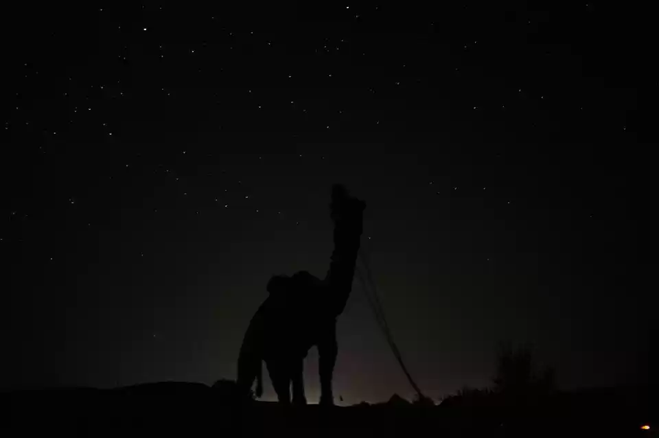 Photo of JAISALMER DESERT SAF