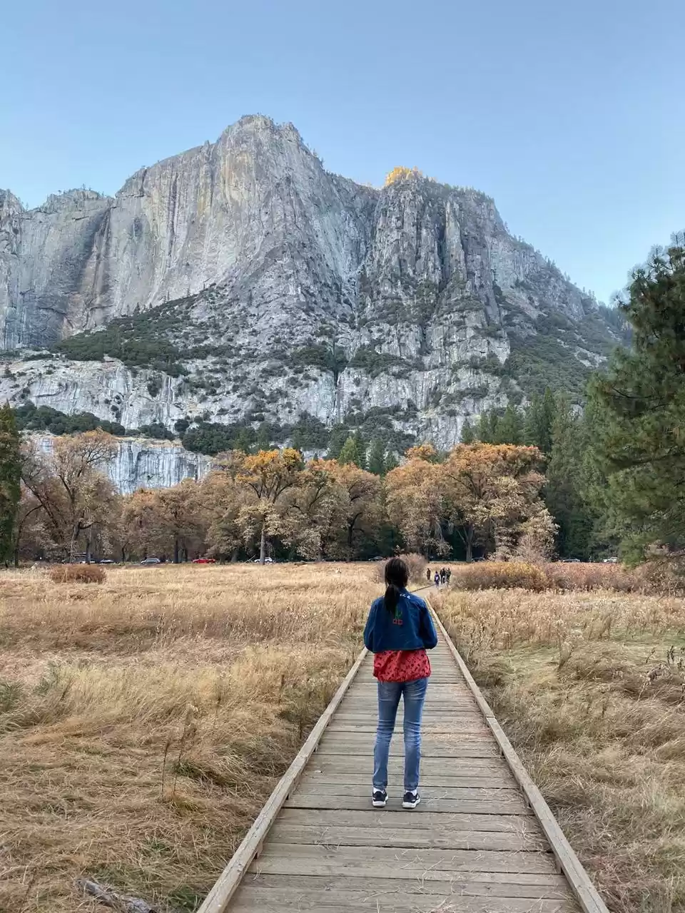 Photo of Livin' the American 