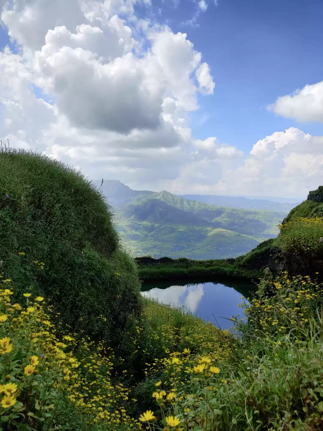Photo of Picture Perfect Geta