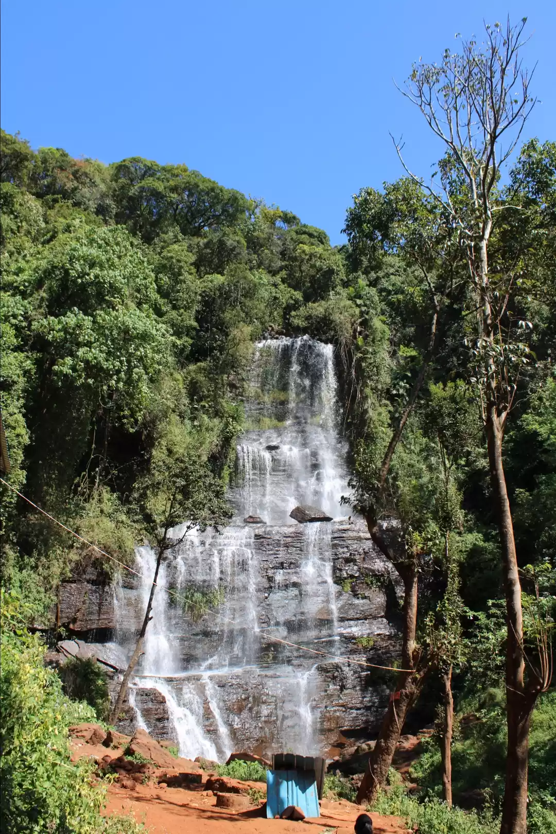 Photo of Butterfly falls