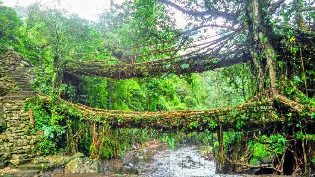 Photo of 8 Days Into The Deep Woods Of Meghalaya