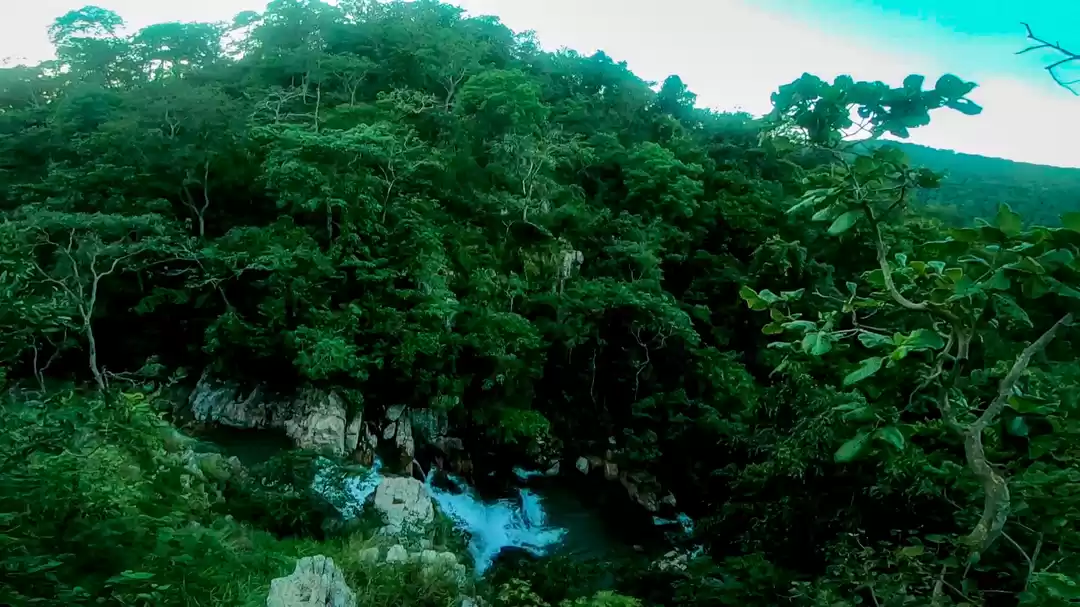 Photo of Kuntroo : Unseen Tre