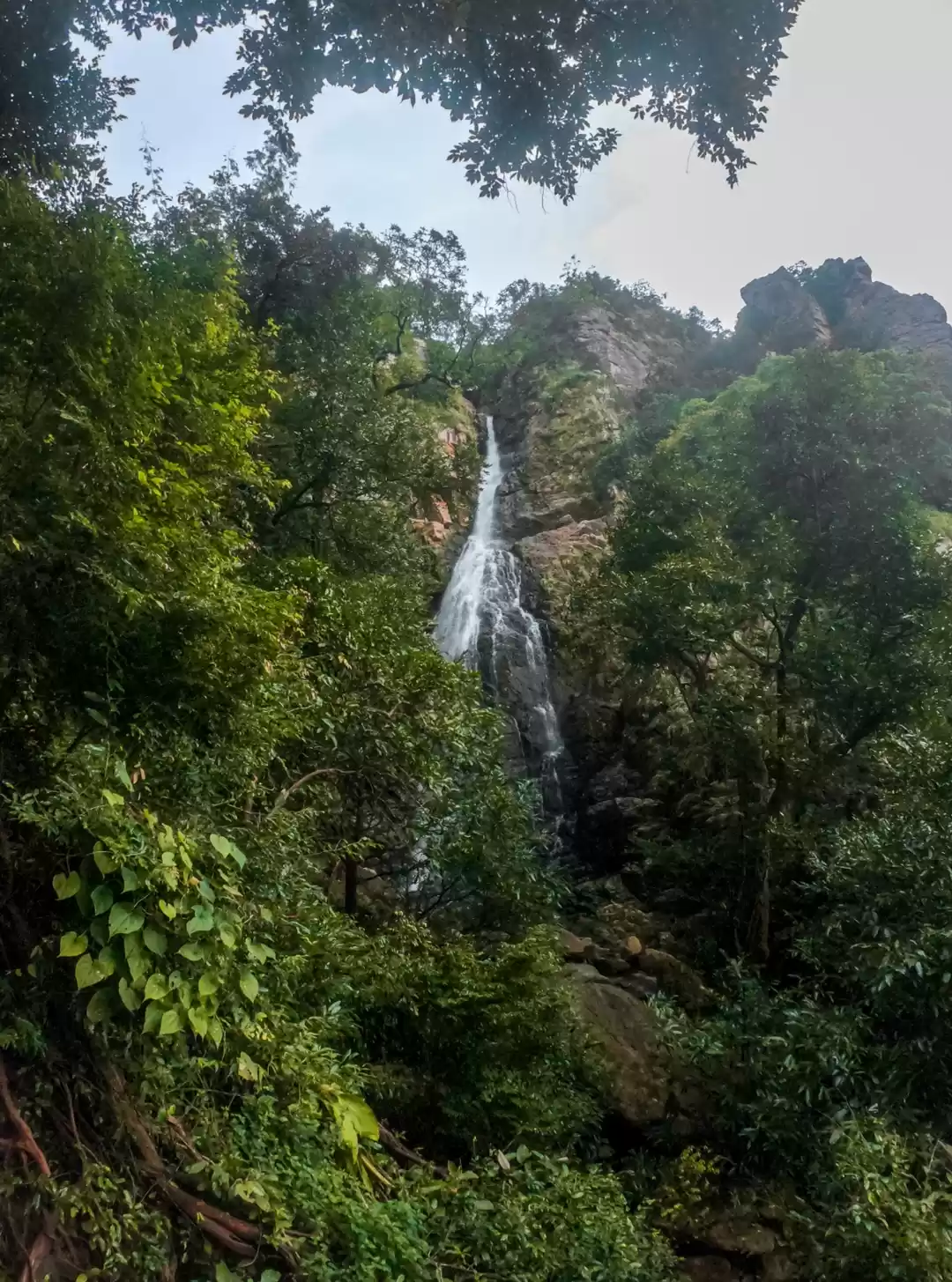 Photo of A Untouched JATIAPAT