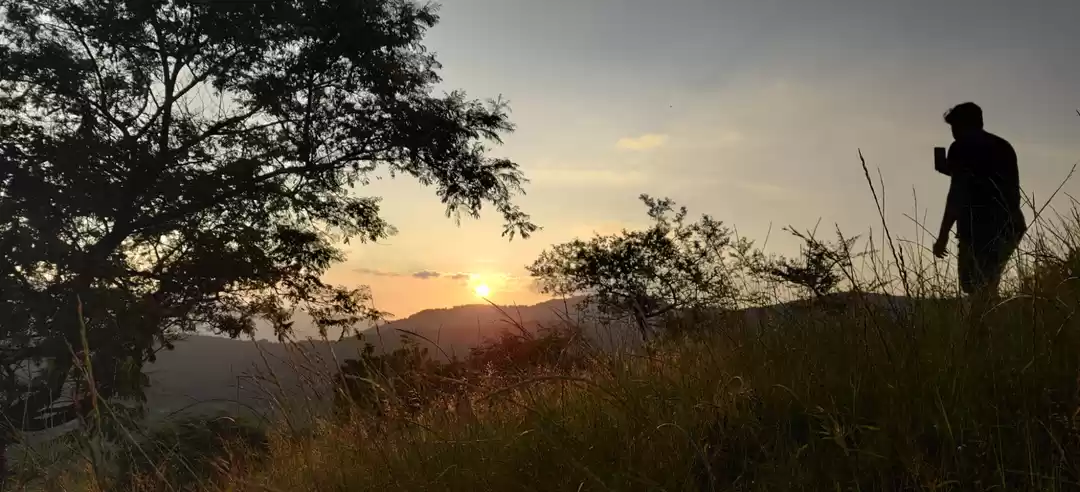 Photo of Nature vs machine