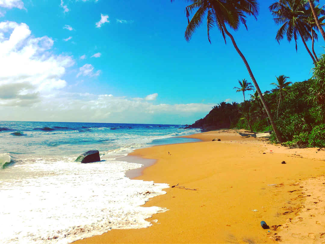 Full Moon Garden Hotel Katunayake Sri Lanka View Images Timing And Reviews Tripoto