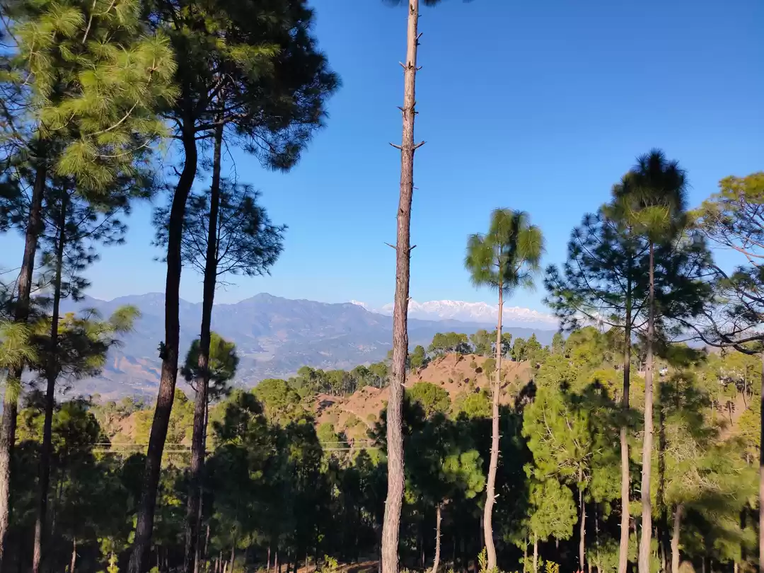 Photo of A peaceful trip to M