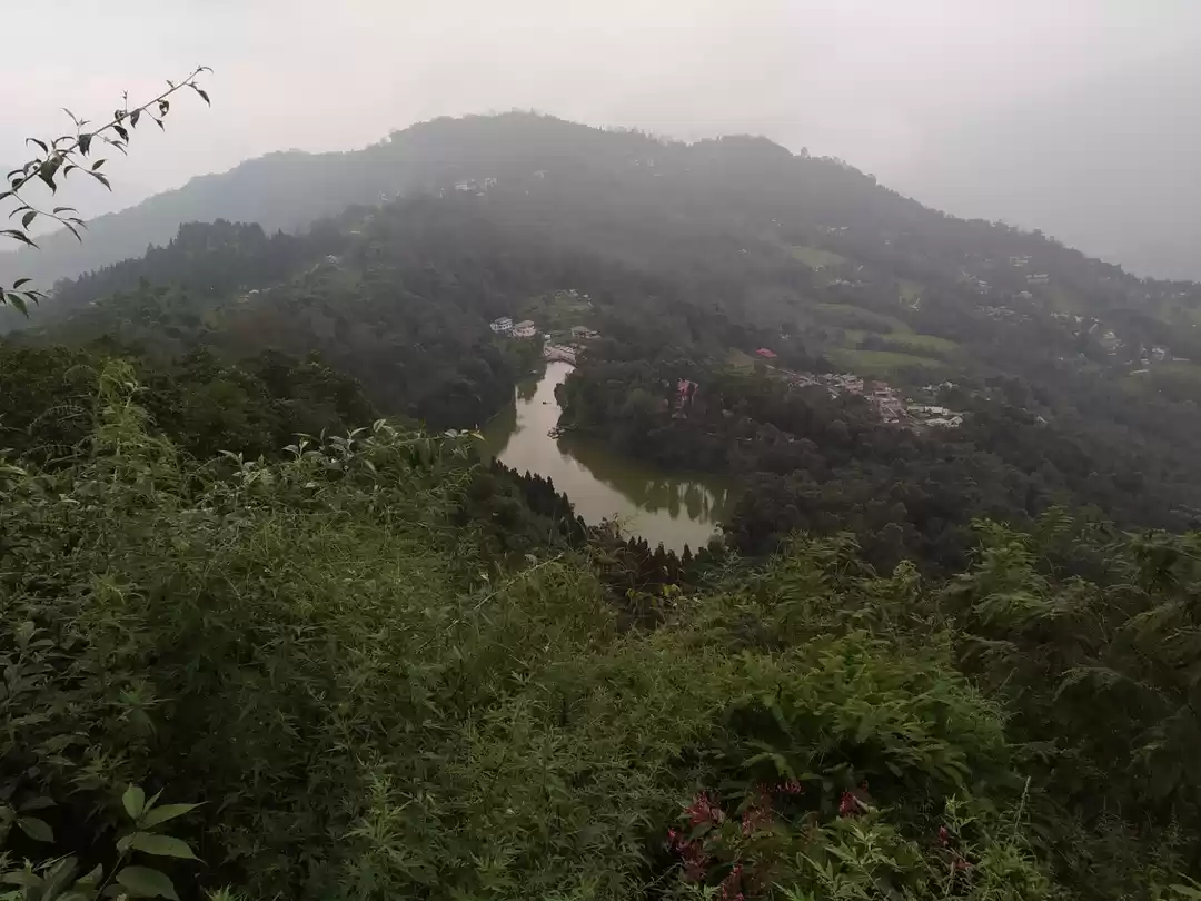 Photo of Solo Trip - Aritar E