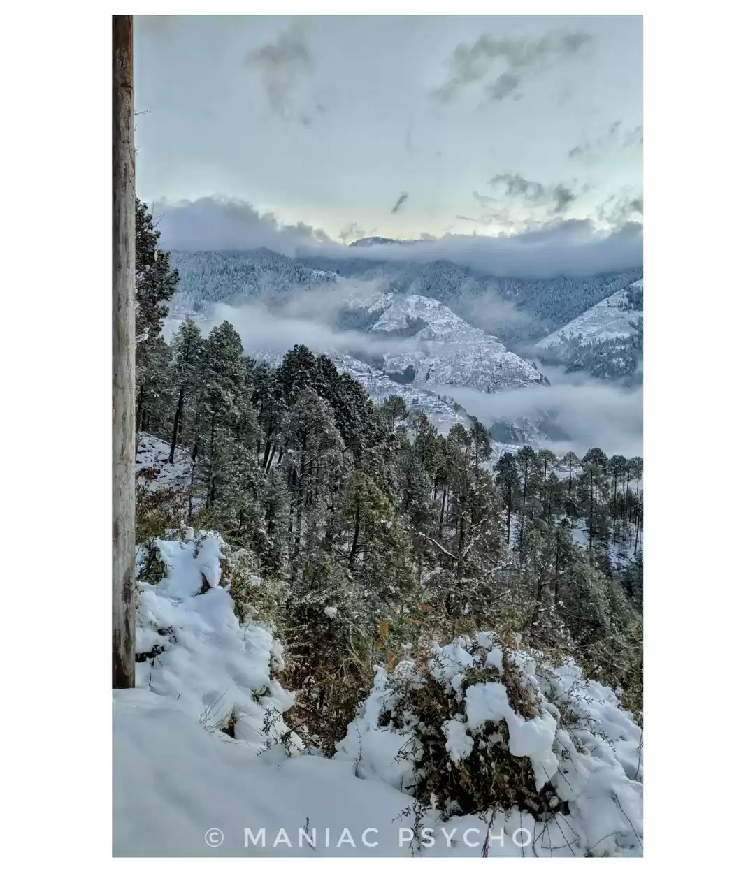 Photo of Winters in kumarsain