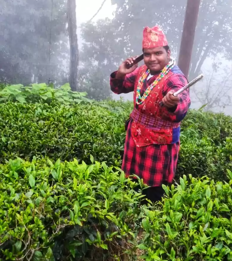 Photo of TEA GARDEN DARJEELIN