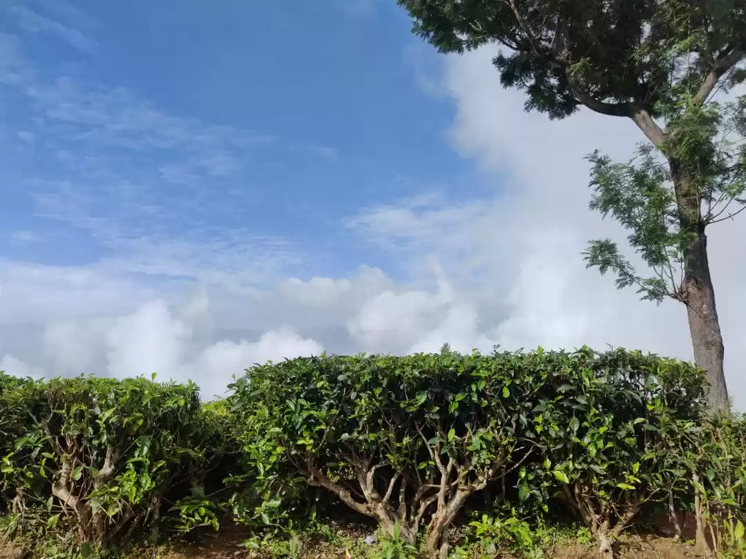 Photo of The Experiential Tri