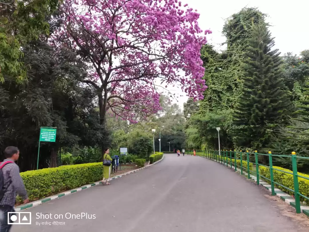 Photo of Karnataka Trip