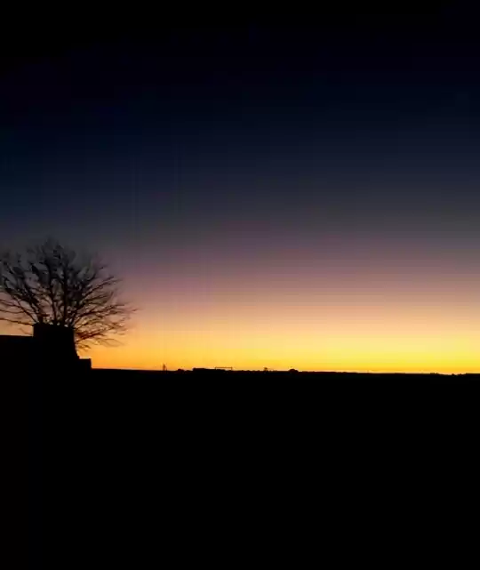 Photo of How I got bitten by 