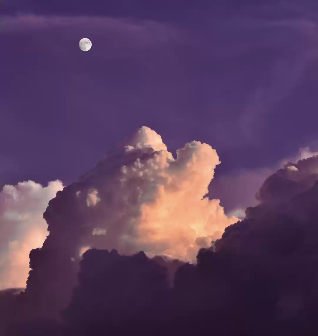 Photo of August Moon 