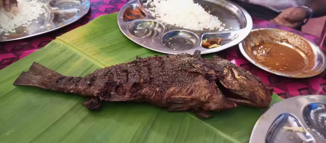 Photo of What about FISH for 