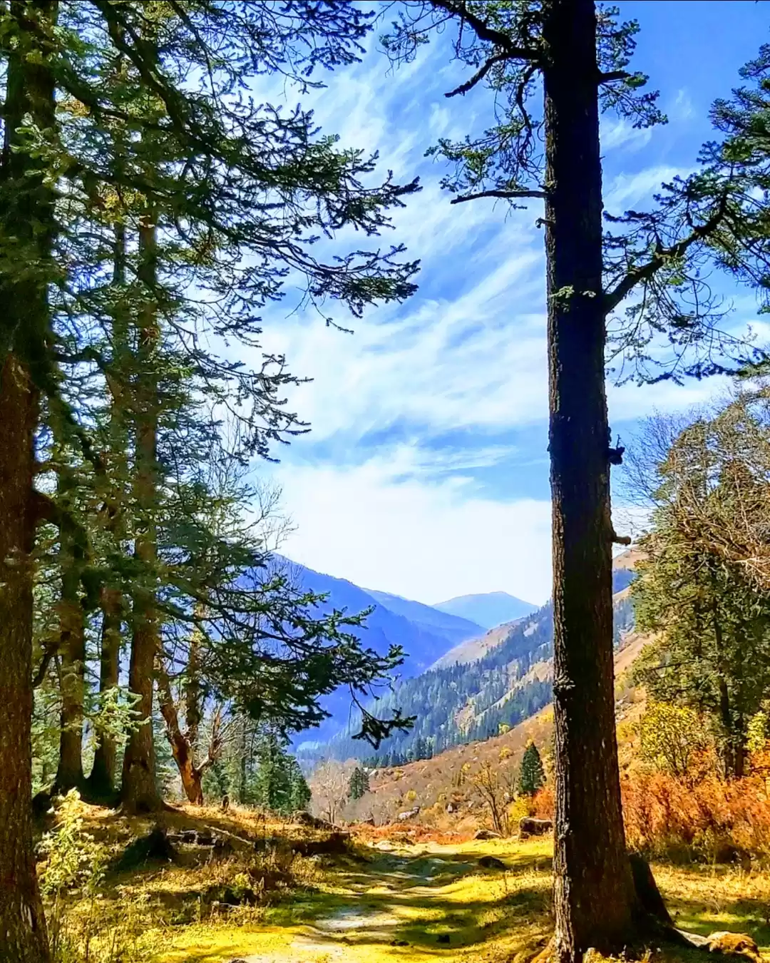 Photo of Nature's canvas 