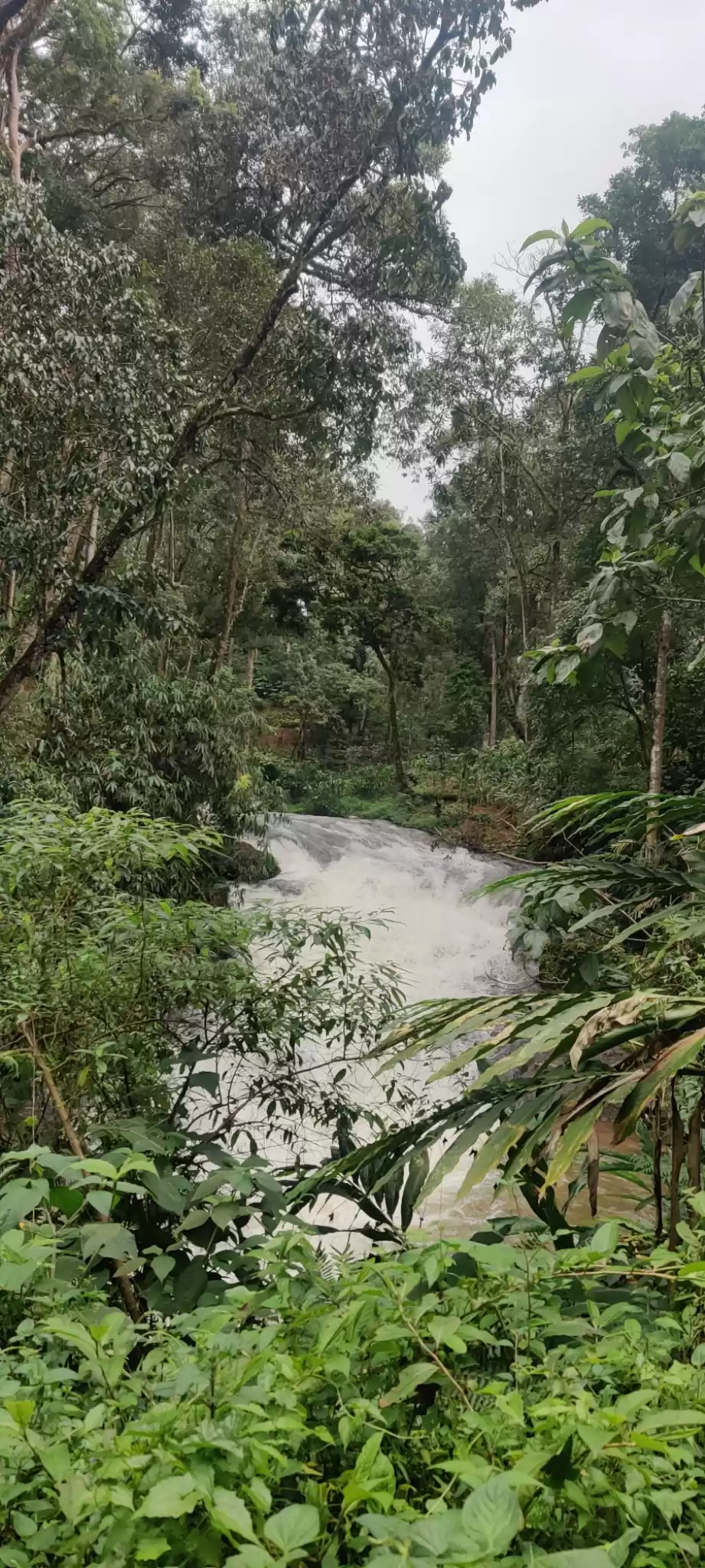 Photo of Munnar Hidden Treasu