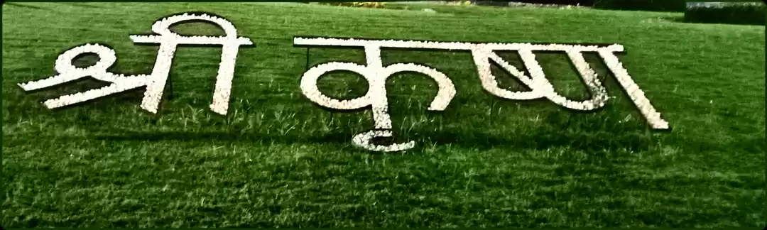 Photo of Radhe Radhe #MyWande