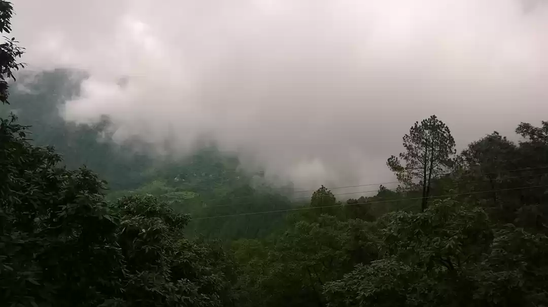 Photo of An Affair with Silen