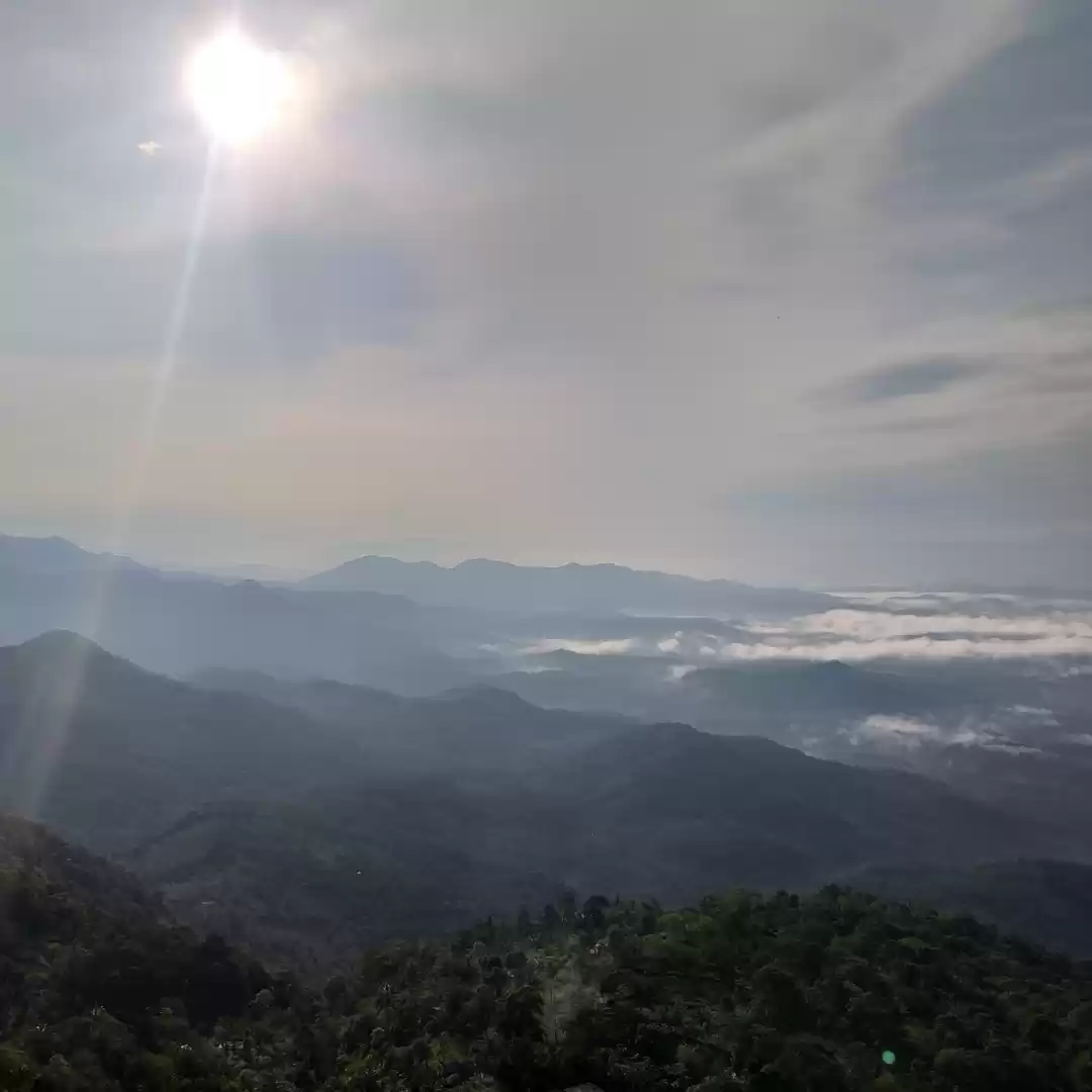 Photo of Palakkayam thattu