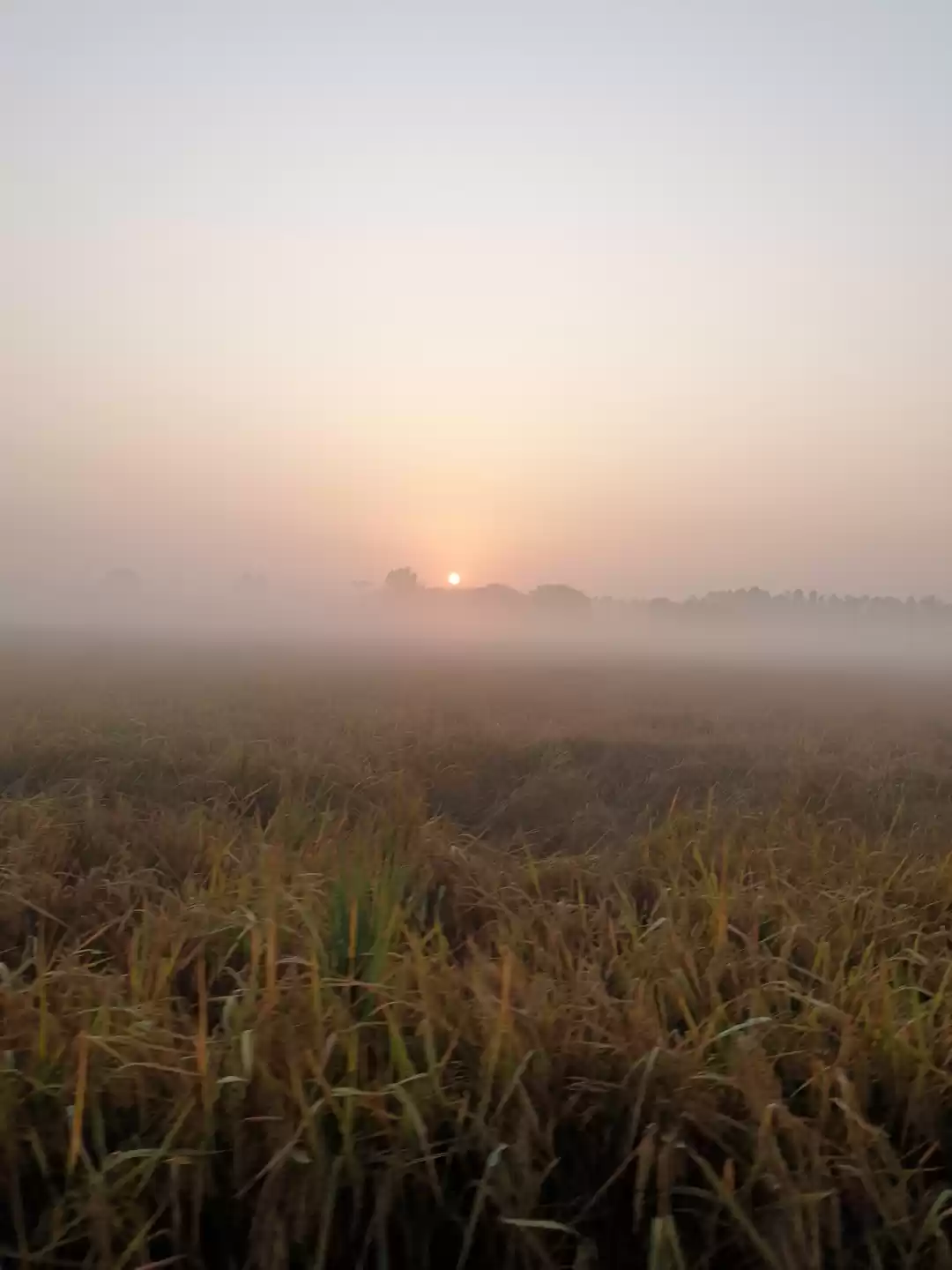 Photo of Sunrise at the the f